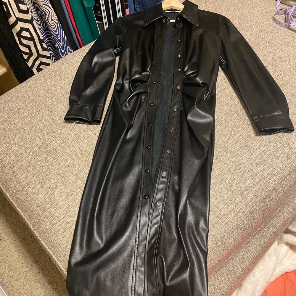 Zara dress